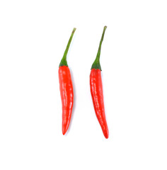 Hot red chili or chilli pepper isolated on white background.