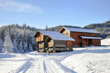 Norwegian snowy houses
