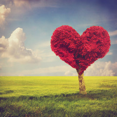Obraz na płótnie Canvas Kształt serca czerwone drzewo na łące nad błękitne niebo