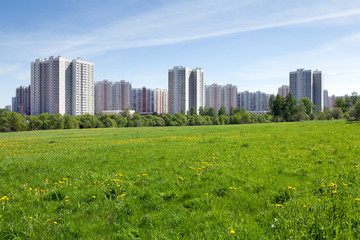 Naklejka premium Многоэтажные дома за цветущим лугом