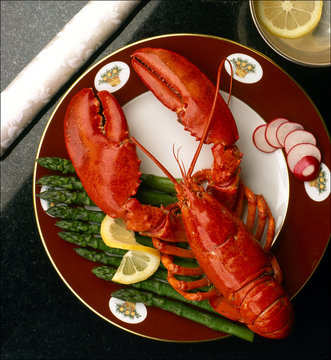 food aragosta