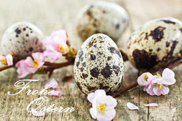 Obraz premium Wachteleier zwischen Kirschblüten auf Holz, Frohe Ostern