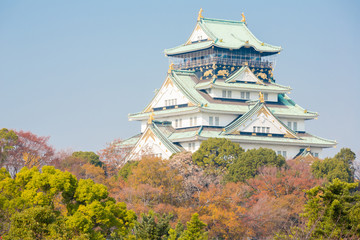 Obraz premium Osaka castle Japan