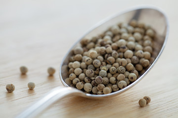 Weiße Pfefferkörner auf Silberlöffel