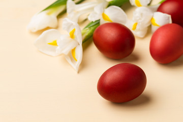 Easter eggs and white flowers