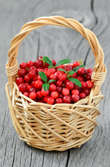 Cowberries in the basket