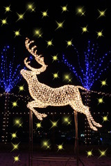 トナカイのイルミネーション