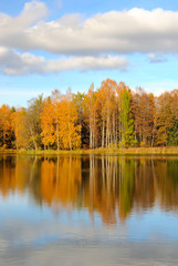 Autumn trees on the lake