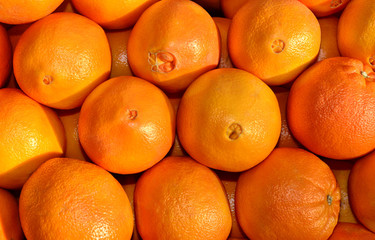 Navel oranges - 59371039