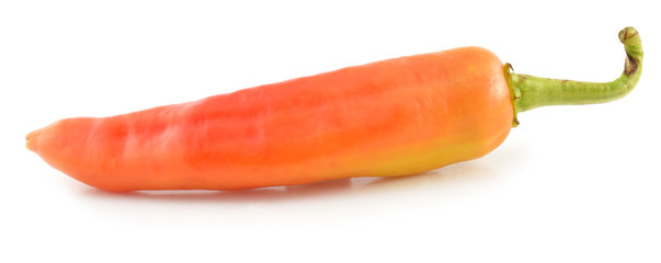 peppers isolated on a white background.