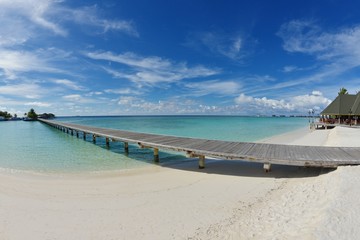 Fototapeta premium tropical beach