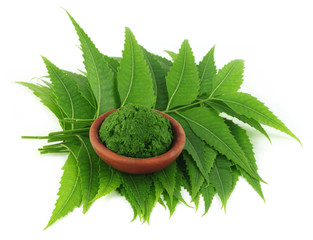 Medicinal neem leaves with paste on a brown bowl