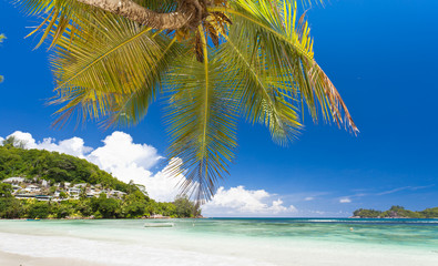 Obraz premium Pointe Maravi, baie Lazare, Mahé, Seychelles