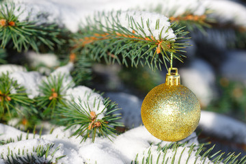 Yellow ball on the Christmas tree with snow