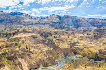 Colca Canyon, Peru,South America. Incas to build Farming terrace
