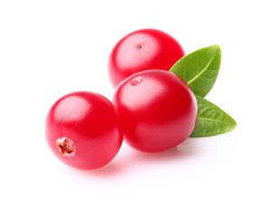 Cranberry in closeup