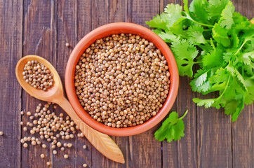 coriander © tycoon101