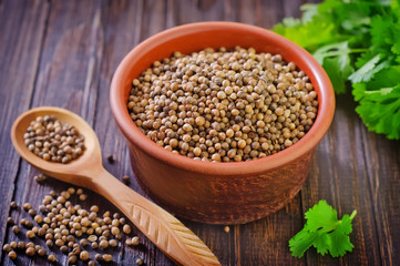 Obraz premium coriander