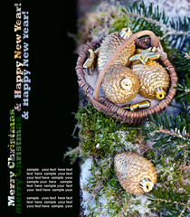 Christmas Decoration