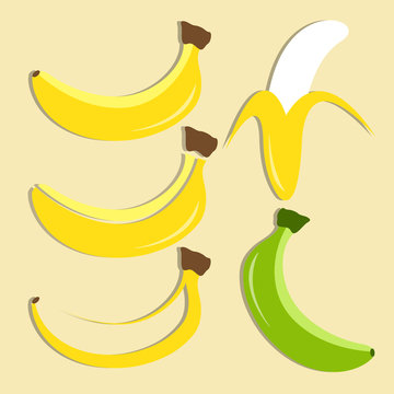 Vector set of banana icon on isolated background