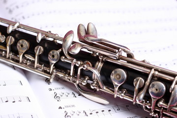 Obraz premium Oboe