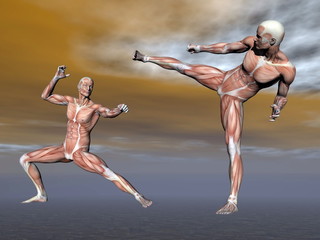 Fototapeta na wymiar Male muscles fight- 3D render