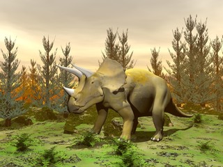 Fototapeta premium Triceratops dinosaur - 3D render