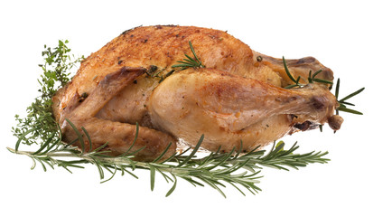 fresh domestic roast chicken with herbs on white