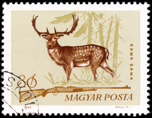 HUNGARY - CIRCA 1964: A stamp printed in Hungary from the "Hunti