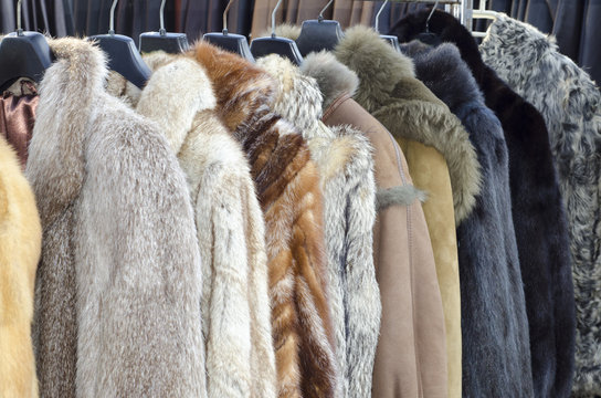 Row of coats made of animal fur