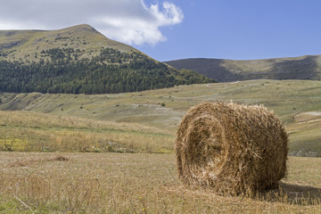 Heuballen in Umbrien