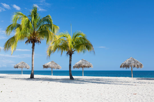 Sandstrand mit Palmen Karibik in Kuba