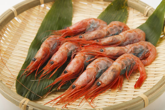 甘海老