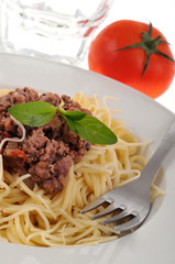 Spaghetti bolognaise et basilic frais
