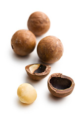 macadamia nuts