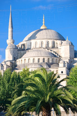 Blue Mosque