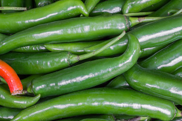 Peppers fresh from the farm ready to cook
