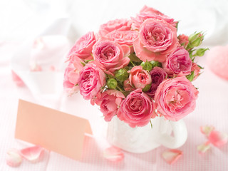 Pink roses