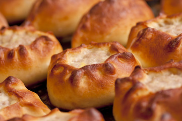 Hot pasties (patties) on baking tray close up