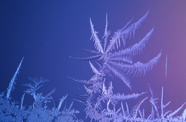 beautiful frost pattern on window
