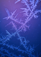 beautiful frost pattern on window