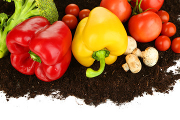 Vegetables on ground isolated on white