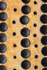 Bottle green earth wall as background.