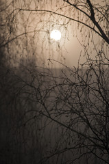 Wschód słońca © Grzegorz Polak