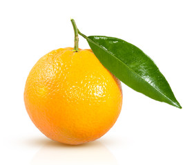 orange