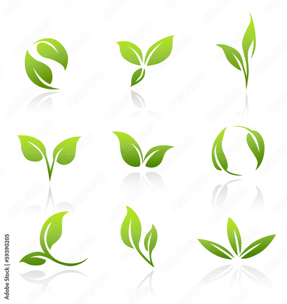 Wall mural vector icons - green leaves