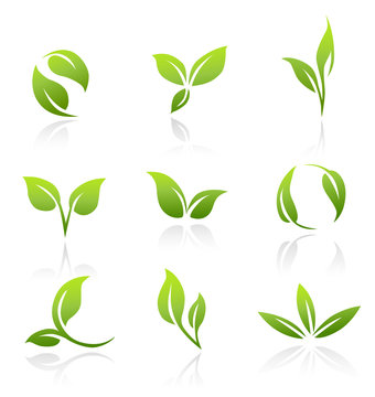 Vector Icons - Green Leaves