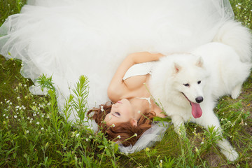 bride with a Samoyed