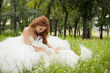 bride with a Samoyed