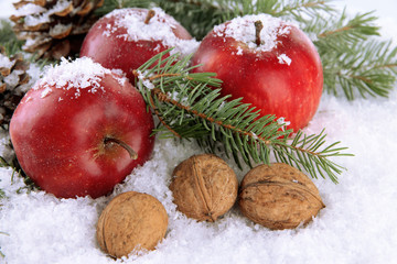 Red apples with fir branches and nuts in snow close up © Africa Studio